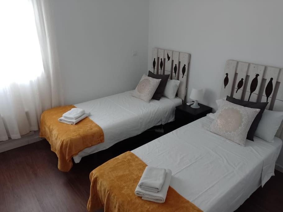 Cizq 2 Bedroom Center Cathedral And Alcazar